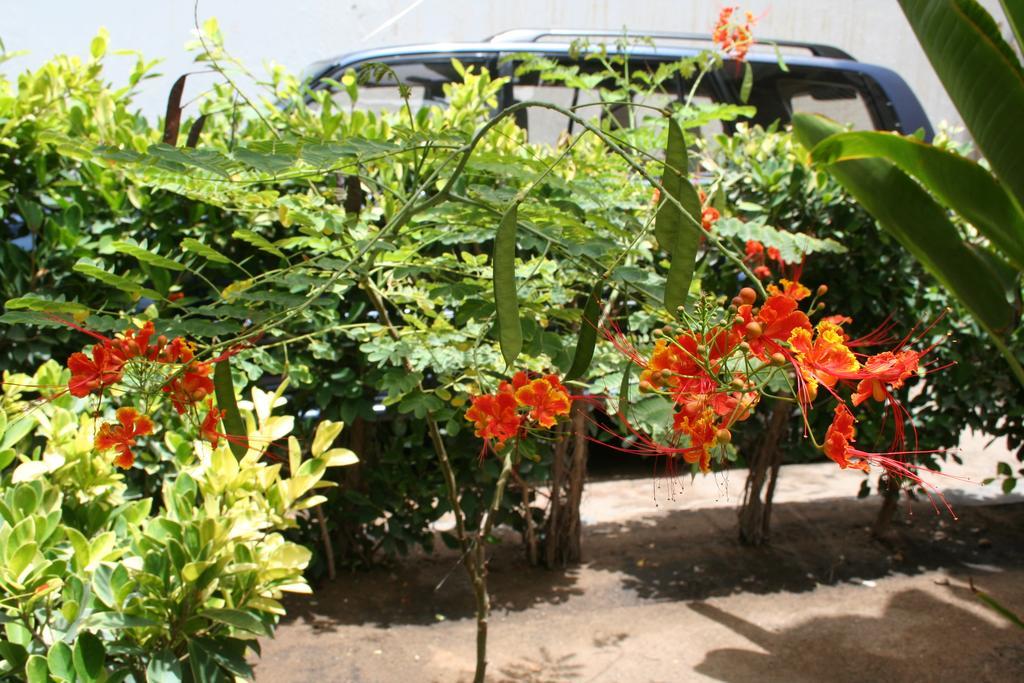 Auberge Keur Diame Hostel Dakar Exterior photo